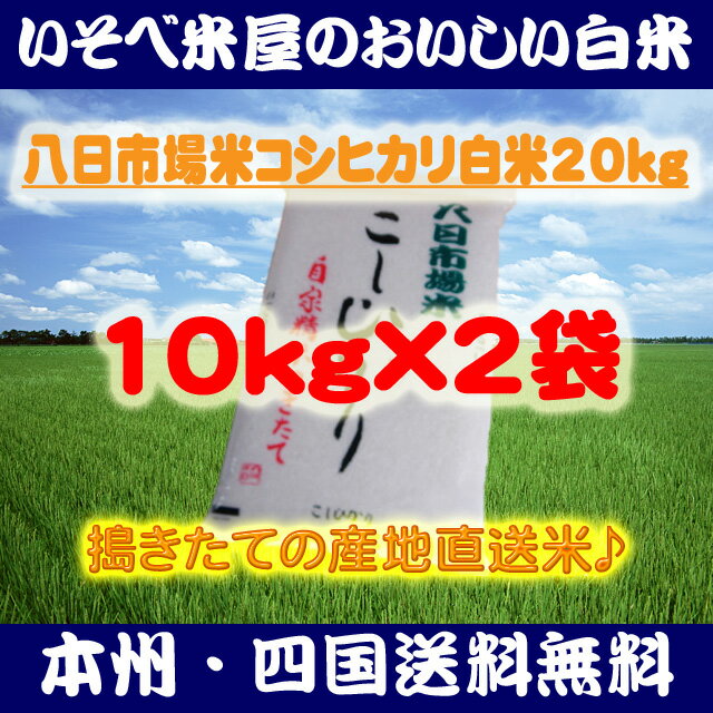 ★【本州・四国送料無料】八日市場米コシヒカリ白米10kg×2袋：搗きたての産地直送米★【匠精米】※北海道・沖縄・九州地区は別途送料400円