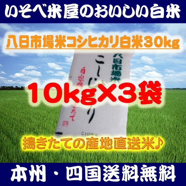 ★【本州・四国送料無料】八日市場米コシヒカリ白米10kg×3袋：搗きたての産地直送米★【匠精米】※北海道・沖縄・九州地区は別途送料400円