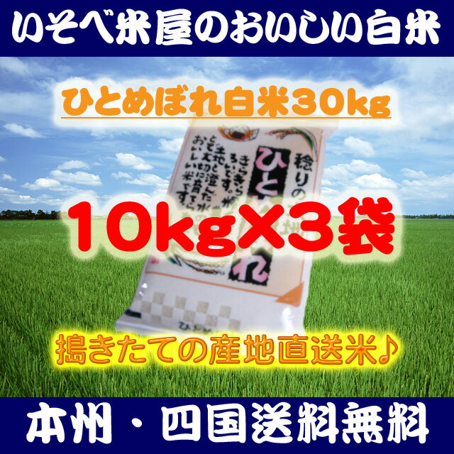 ★【本州・四国送料無料】ひとめぼれ白米10kg×3袋：搗きたての産地直送米★【匠精米】※北海道・沖縄・九州地区は別途送料400円