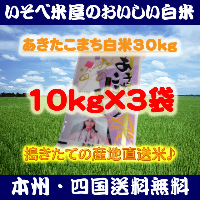 ★【本州・四国送料無料】あきたこまち白米10kg×3袋：搗きたての産地直送米★【匠精米】※北海道・沖縄・九州地区は別途送料400円