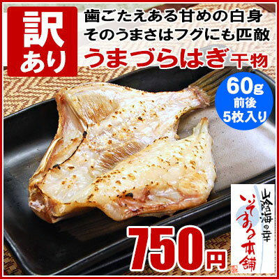 大きさ不揃いの訳ありです 島根県産うまづらはぎ干物 60g前後