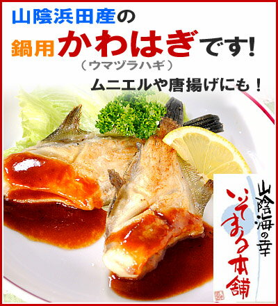 山陰浜田産 かわはぎ（ウマヅラハギ）500g鍋用に調理済み!!約3人前あり！ムニエルや唐揚げにもっ！