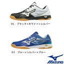 《送料無料》《新色》2019年2月発売 MIZUNO ウエー...