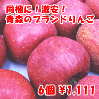 激安！同梱オススメ！青森県産ブランドりんご6個品種はお任せください！「和ちゃんの福袋」との同梱にベスト！