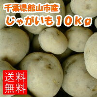 【送料無料／数量限定／半額】千葉県館山市産新じゃがいも10kg