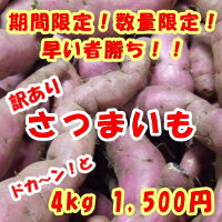 千葉県産訳ありさつまいも 4kg