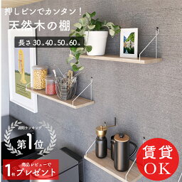 \\4/20限定！P最大33倍×抽選で100％Pバック//ウォールシェルフ 賃貸 取り付け 壁【吊具 白】北欧 壁掛け 壁付け かざり棚 飾り棚 壁面収納 アイアン 棚 洗面所 キッチン トイレ 玄関 リビング 子供 ボックス おしゃれ シェルフ ウォールラック スリム フック【枚数1-4枚】