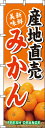 のぼり旗「産地直送みかん」【特価】(のぼり/のぼり旗/旗/幟/産地直送みかん)【0100202IN】