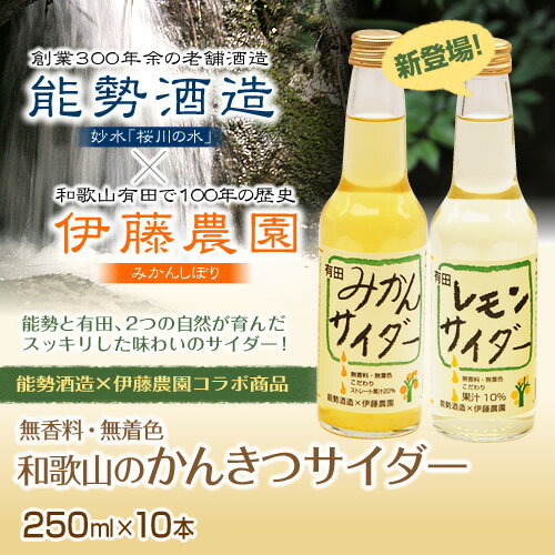 和歌山の柑橘サイダー250ml×10本入【楽ギフ_包装】【楽ギフ_のし宛書】 【楽ギフ_メッセ入力】柑橘のスッキリした味わいのサイダー！