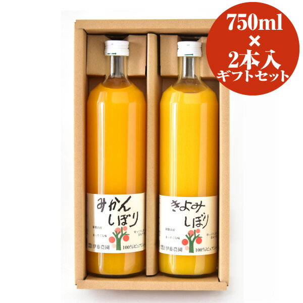 伊藤農園100％ピュアジュース和歌山産柑橘のみ使用したみかんジュース900ml×2本セット 