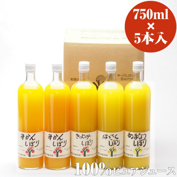 伊藤農園100％ピュアジュース和歌山産柑橘のみ使用したみかんジュース900ml×5本セット 