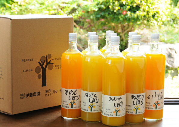 伊藤農園100％ピュアジュース和歌山産柑橘のみ使用したみかんジュース900ml×9本セット 