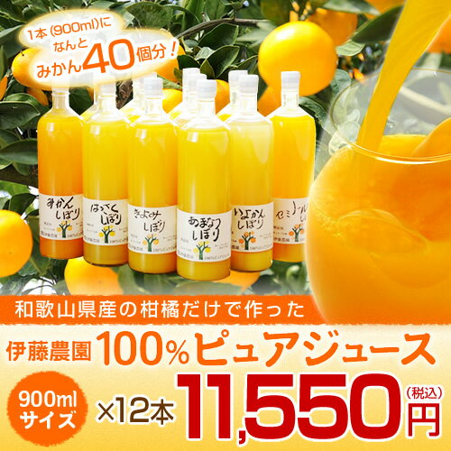 伊藤農園100％ピュアジュース和歌山産柑橘のみ使用したみかんジュース900ml×12本入【楽ギフ_包装】【楽ギフ_のし宛書】 【楽ギフ_メッセ入力】コクが強いのにスッキリ♪家庭で手しぼりしたような味わい！100％ストレートみかんジュース和歌山産柑橘使用。【送料無料】(北海道・沖縄県￥315)【smtb-tk】