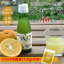 ジャバラ果汁 100% 国産 小分け瓶 100ml 10本 ...