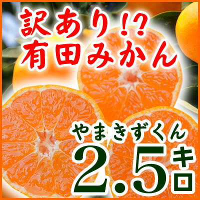 2箱〜送料無料3箱で1箱おまけの破格大特価♪伊藤農園　有田みかん　安心の減農薬栽培粗選別ご家庭用