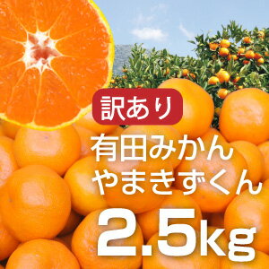 本場和歌山有田みかん専門、伊藤農園直送！やまきずくん　2箱〜送料無料、3箱で1箱おまけ♪創業115年の伊藤農園からもぎたて新鮮の有田みかんをお届け！