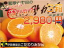 伊藤農園　有田みかん3kg×3箱（9kg）　2S〜2Lサイズ　粗選別ご家庭用たっぷり3箱、2,980円！農園直送価格！本場有田みかん