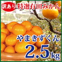 2箱〜送料無料3箱で1箱おまけの破格大特価♪伊藤農園　有田みかん　安心の減農薬栽培粗選別ご家庭用農園直送価格！本場和歌山有田のみかん