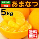甘夏 あまなつ 5kg 送料無料 和歌山 アマナツ 美品 贈答用 春 の みかん 手詰め 箱買い ノーワックス ノーブラッシング 特別栽培 お返し ギフト 贈り物 詰め合わせ 北海道 沖縄 送料 756円