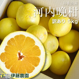 河内晩柑 <strong>訳あり</strong> 5kg 送料無料 和歌山 和製 グレープフルーツ 春 の <strong>みかん</strong> 自宅用 手詰め 箱買い ノーワックス ノーブラッシング 防腐剤 不使用 特別栽培 詰め合わせ