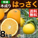 木成り 八朔 きなり はっさく 8kg 送料無料 和歌山 美品 贈答用 木なり ハッサク 春 の みかん 手詰め 箱買い ノーワックス ノーブラッシング 特別栽培 お返し ギフト 贈り物 詰め合わせ 北海道 沖縄 送料 756円
