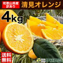 清見 きよみ 訳あり 送料無料 4kg 和歌山 キヨミ 清見オレンジ 春 の みかん 自宅用 手詰め 箱買い ノーワックス ノーブラッシング 特別栽培 詰め合わせ北海道 沖縄 送料 756円