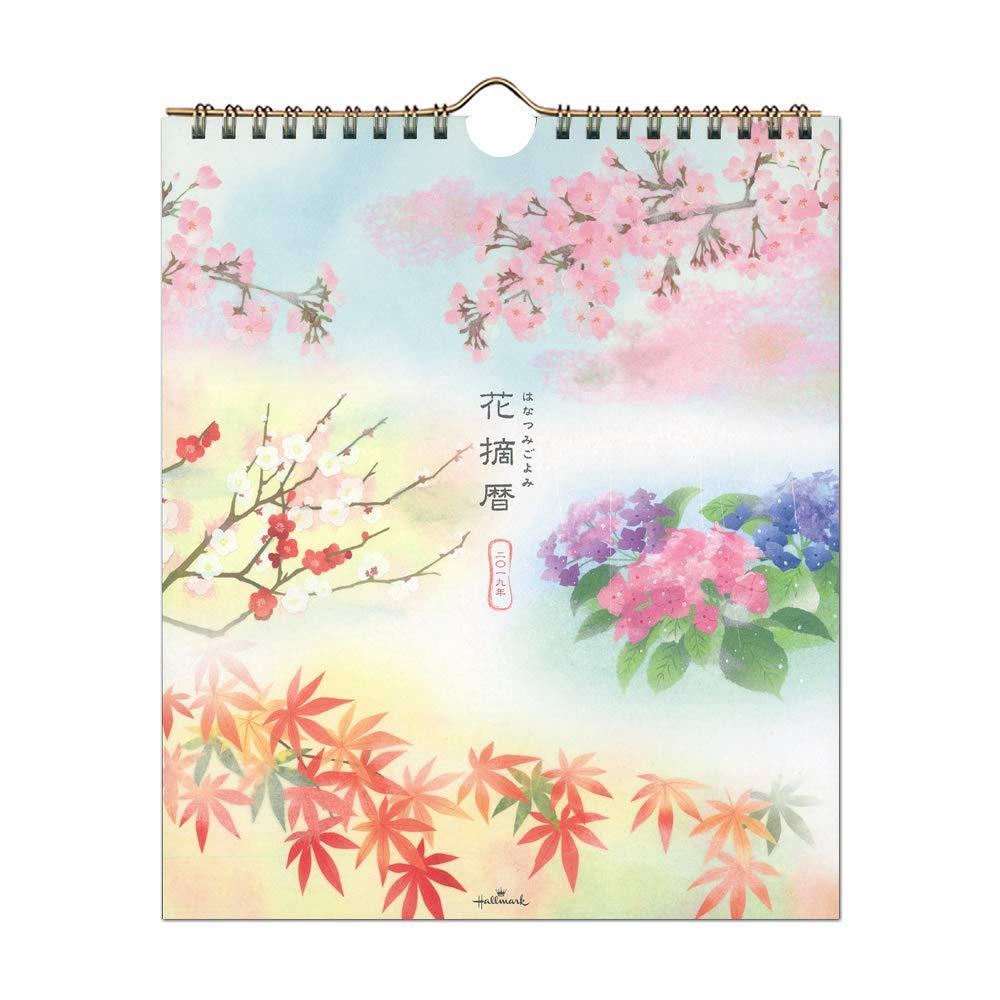 y[֑z{z[}[N ԓE 2019N J_[ Ǌ|  743932