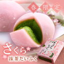 春限定 さくら抹茶だいふく 6個 箱入り 桜スイーツ § 京都名物 プチギフト 抹茶スイーツ お取り寄せ 和菓子 お菓子 ギフト プレゼント お土産 老舗 伊藤久右衛門