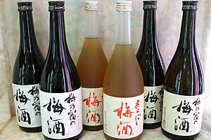 全国一律送料500円！梅乃宿 あらごし梅酒　720ml × 2本梅乃宿の梅酒　720ml × 2本梅乃宿の梅酒 無濾過原酒　720ml × 2本3種飲み比べセット