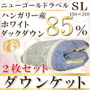 【2枚組】ニューゴールドラベル 高級ダウンケット 羽毛肌掛け布団(シングルロング・150×210cm) 日本製 肌布団 春 夏 秋用 夏用羽毛布団 肌かけ はだがけ 300g 0.3キロ 人気 夏がけ 羽毛掛け セット 2枚セット