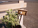 Wood Mini Board
