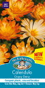 【輸入種子】Mr.Fothergill's SeedsCalendula Oopsy Daisyカレンデュラ(きんせんか)・ウープジィ・デイジーミスター・フォザーギルズシード