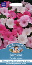 【輸入種子】Mr.Fothergill's SeedsLav...
