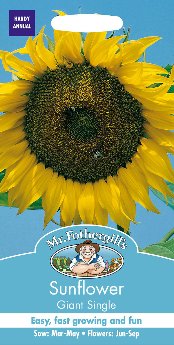 Mr.Fothergill's SeedsSunflower Giant Singleサンフラワー（ひまわり）・ジャイアント・シングルの種