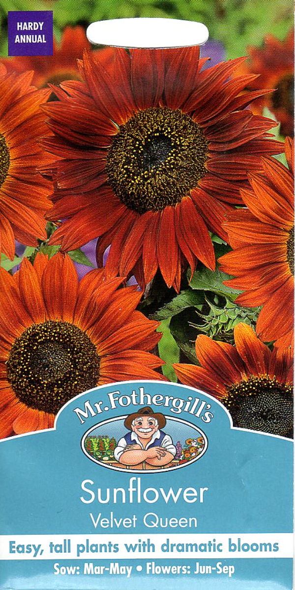 Mr.Fothergill's SeedsSunflower Velvet Queenサンフラワー（ひまわり）・ベルベット・クィーンの種