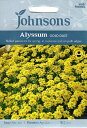 【輸入種子】Johnsons SeedsAlyssum saxatile Gold Dustアリッサム・ゴールド・ダストジョンソンズシード