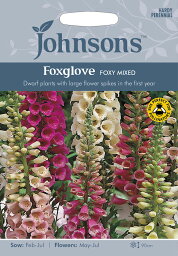 【種子】Johnsons Seeds Foxglove(Digitalis) FOXY MIXED フォックスグローブ（ジギタリス） フォクシー ミックス ジョンソンズシード