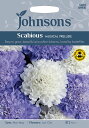 【輸入種子】Johnsons SeedsScabious M...