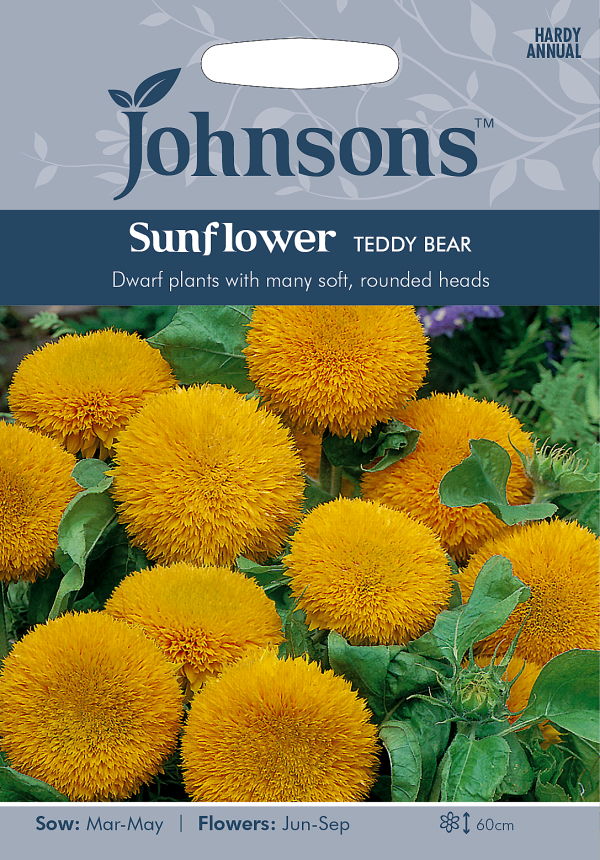 Johnsons SeedsSunflower Teddy Bearサンフラワー・テディ・ベアの種