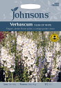【輸入種子】Johnsons SeedsVerbascum ...