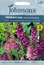 【輸入種子】Johnsons SeedsVerbascum ...
