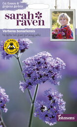 【種子】Johnsons Seeds Sarah Raven Cut flowers & gorgeous gardens Verbena bonariensis サラ・レイブン カットフラワーズ <strong>バーベナ</strong>・<strong>ボナリエンシス</strong> ジョンソンズシード