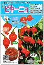 【種子】辛コレ トウガラシビキーニョトキタ種苗のタネ