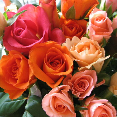 ≪送料無料！≫豪華なバラ30本の花束  バラ 還暦祝い 花束 プレゼント 花 誕生日 ギフト 還暦 お祝い 赤バラ 黄バラ ピンクバラ オレンジバラ 花束 フラワーギフト
