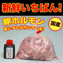 国産豚ホルモン ミックス 300g 自家製みそダレ付属 焼肉 焼き肉 バーベキュー BBQ もつ鍋