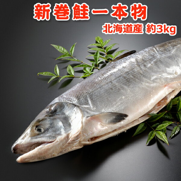 北海道産　新巻鮭（秋鮭）一本物【約3キロ】 送料無料・化粧箱入...:iwamatsu-salmon:10000090