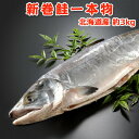 北海道産 新巻鮭一本物 約3.0kg 送料無料 ギフト