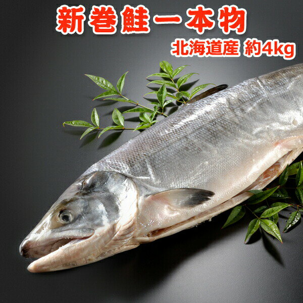 北海道産　新巻鮭一本物【約4キロ】送料無料・化粧箱入 送料無料...:iwamatsu-salmon:10000091