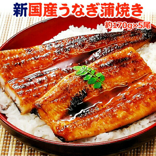 うなぎ 蒲焼 国産 送料無料 特大 約220g×5尾...:iwamatsu-salmon:10000999