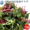 国産 乾燥 海藻サラダ100g わかめ 茎わかめ 昆布 ふのり 赤とさか 白おご メール便送